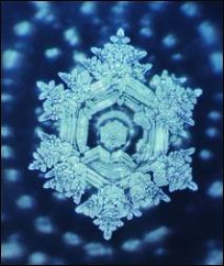 （实验日期：1998年10月） 对藤原湖水进行佛教密宗真言加持过以后的水，四周有些象佛光的形状。